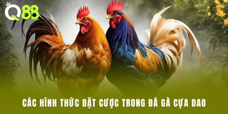 Các hình thức đặt cược trong đá gà cựa dao