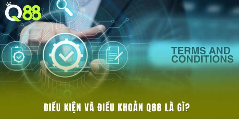 Điều kiện và điều khoản Q88 là gì?