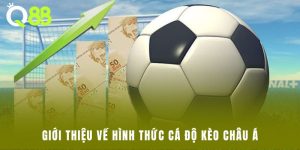 Giới thiệu về hình thức cá độ Kèo Châu Á