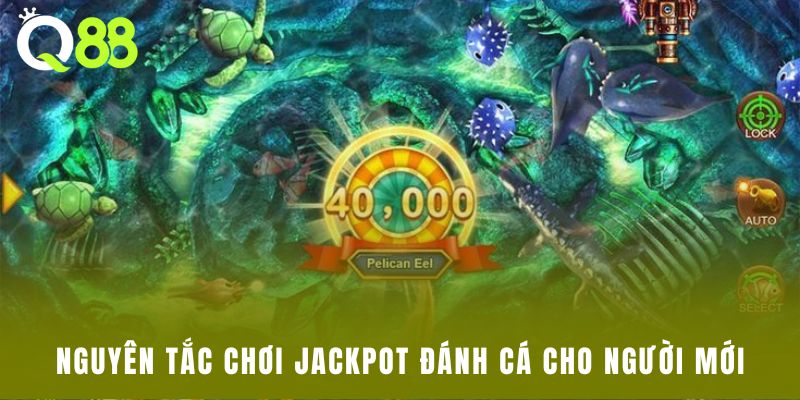 Nguyên tắc chơi Jackpot Đánh Cá cho người mới