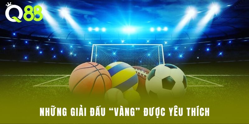 Những giải đấu “vàng” được yêu thích