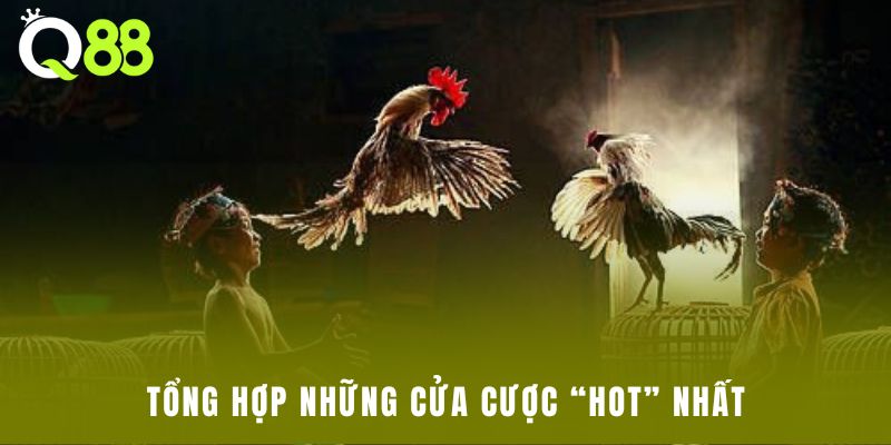 Tổng hợp những cửa cược “HOT” nhất