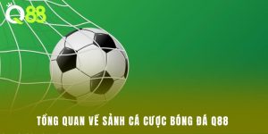 Tổng quan về sảnh cá cược bóng đá Q88 